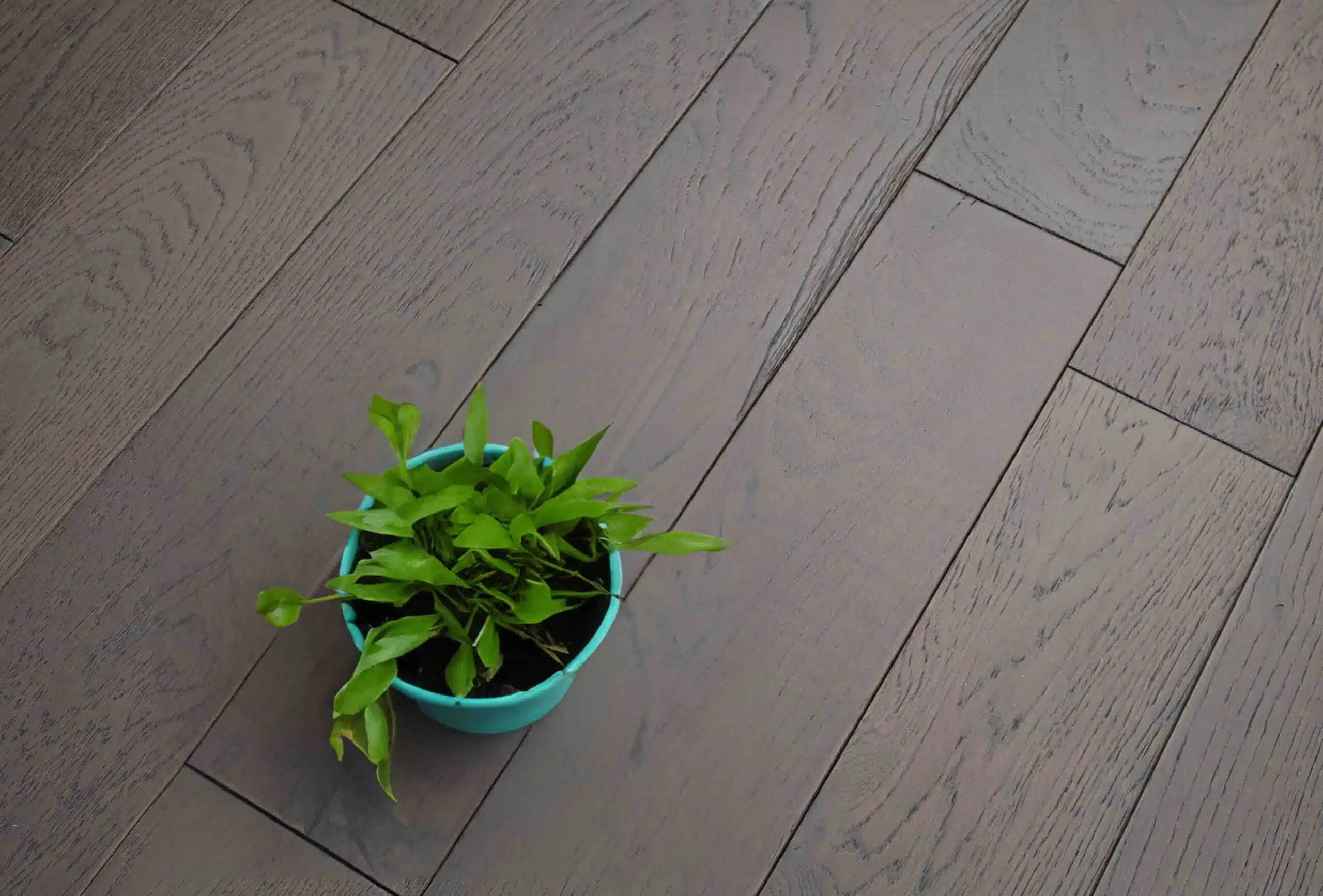 Engineered Brushed Matt Lacquered Everest Grey Oak Wood Flooring 14mm X 125mm