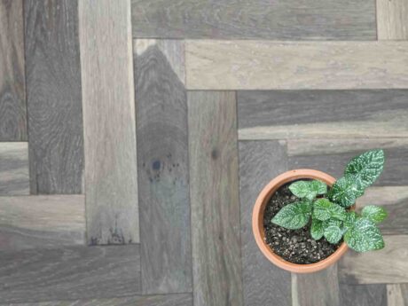 Herringbone Engineered Twilight Smoked Oak Brushed Matt Lacquered Wood Flooring 10mm X 90mm