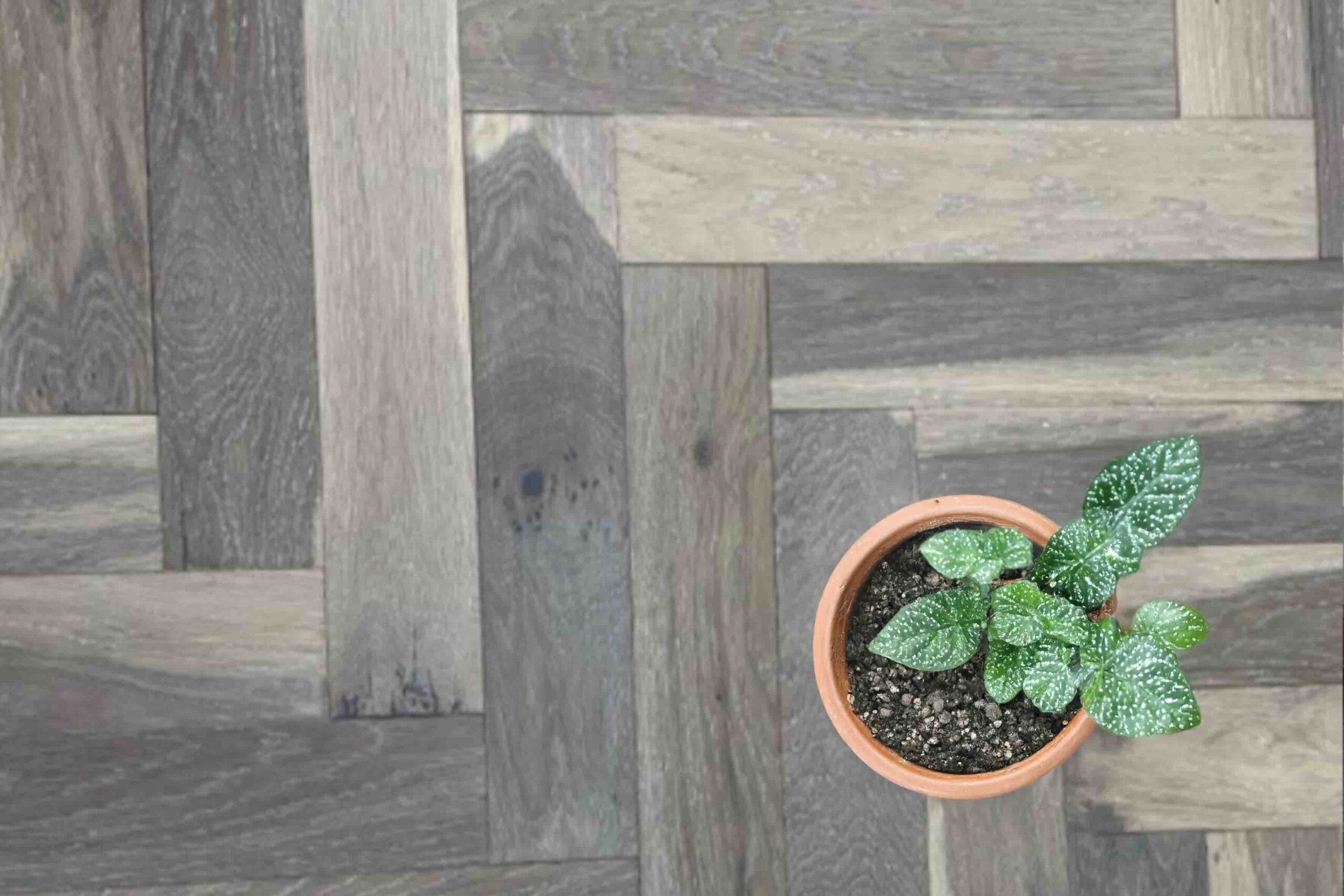 Herringbone Engineered Twilight Smoked Oak Brushed Matt Lacquered Wood Flooring 10mm X 90mm